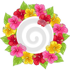 Round frame of colorful hibiscus flowers